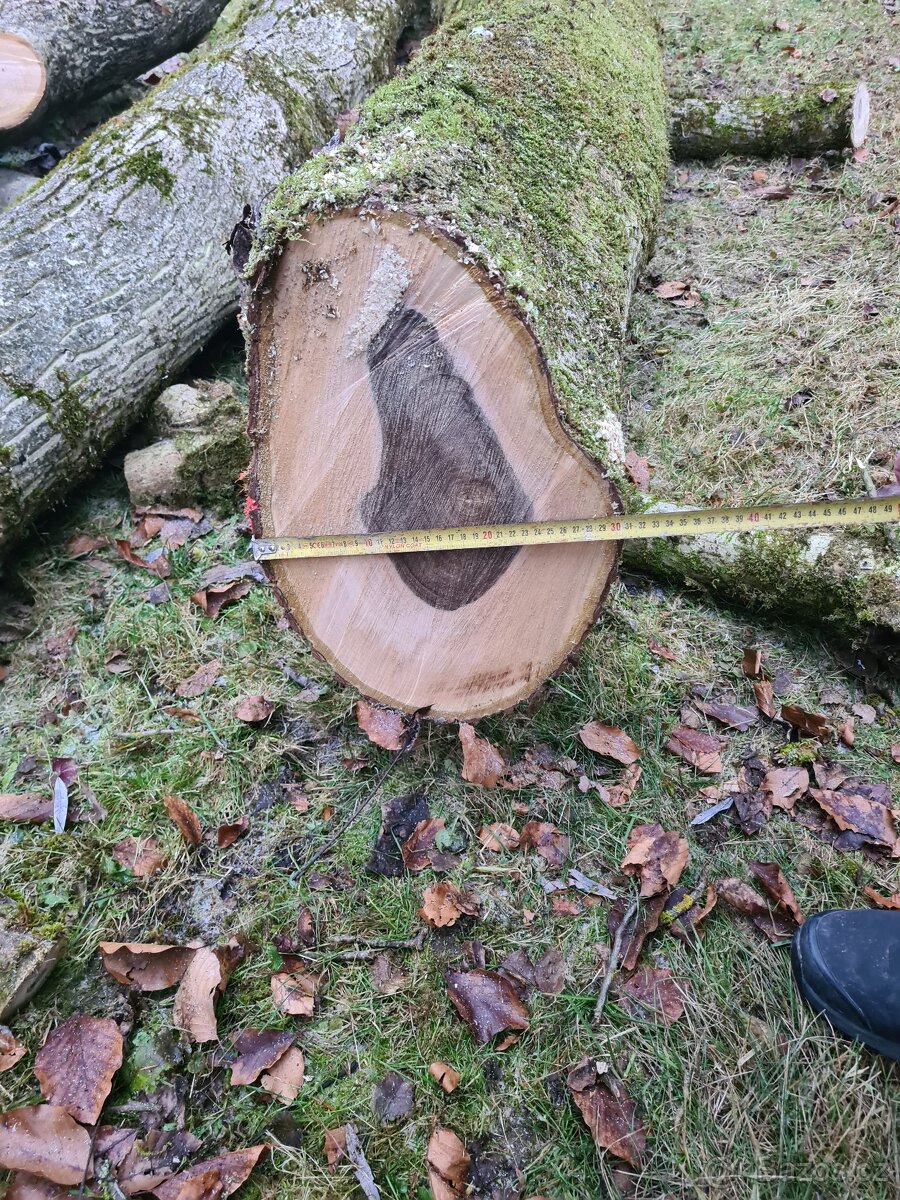 Prodám ořechové dřevo 1,5 m3 - 11