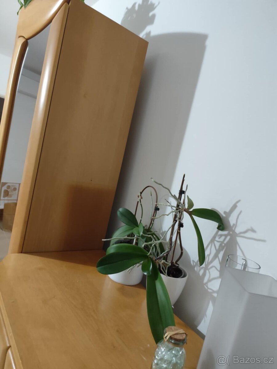 Obývací stěna- čela masiv - 11