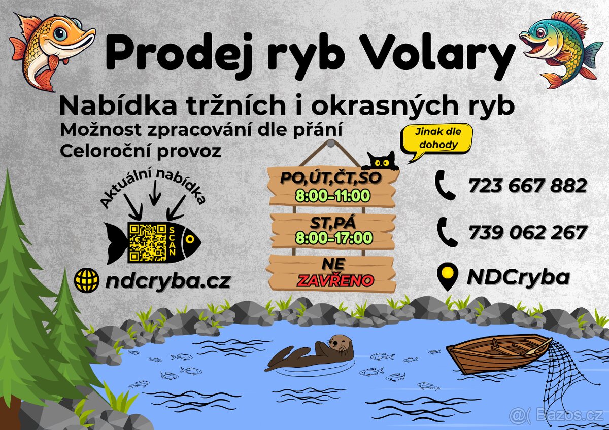 Živé ryby – tržní i okrasné | Volary (okr. Prachatice) - 11