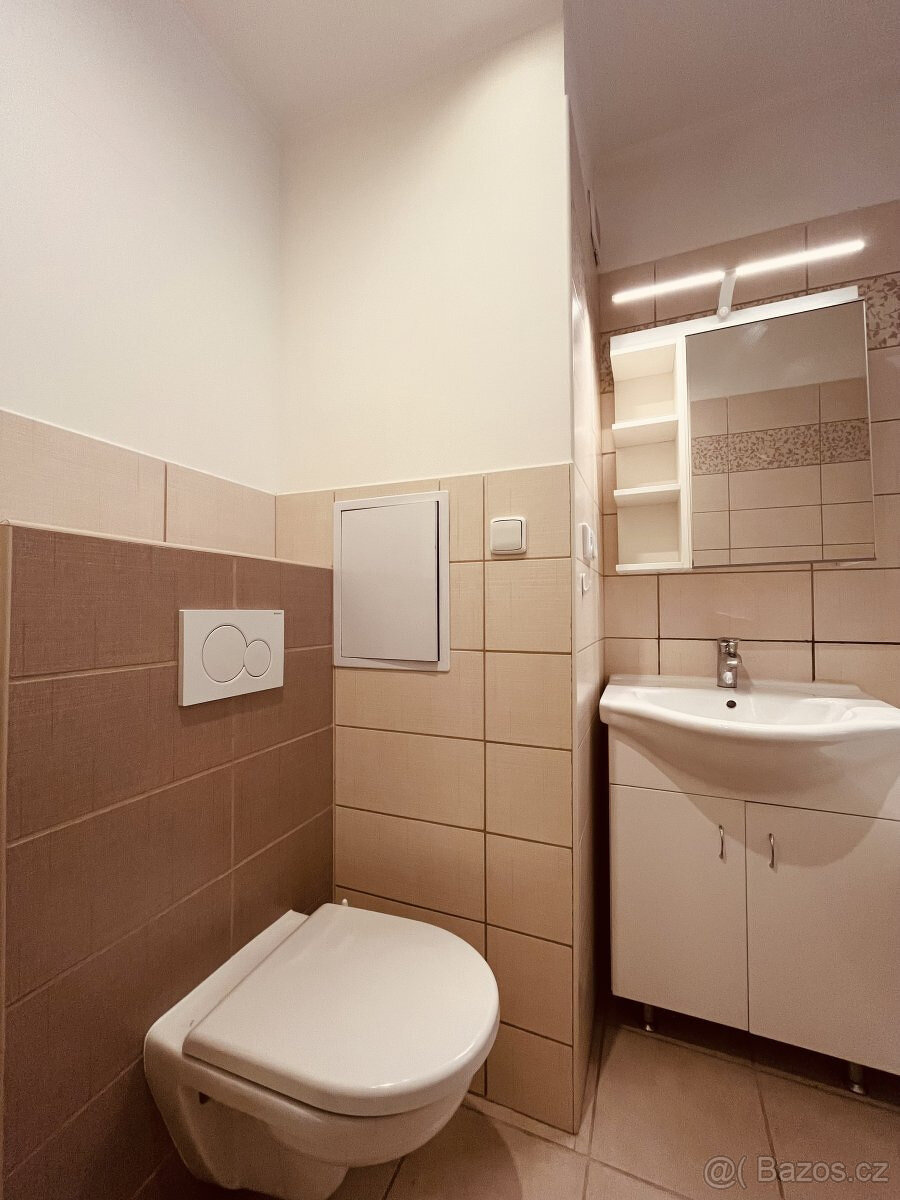 Pronájem bytu 1+1, Garážní, Moravská Ostrava, 8900 Kč/měs, 4 - 11