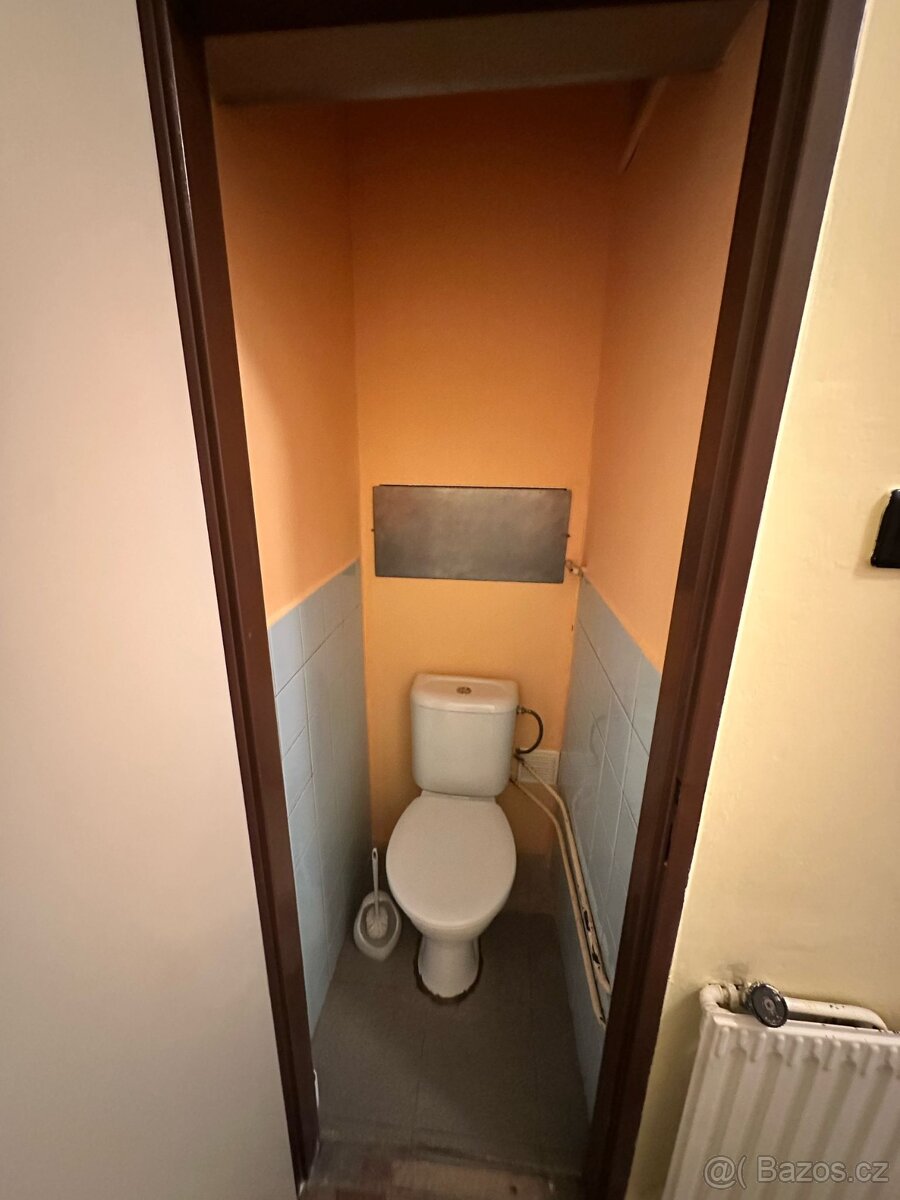 Zděný byt 2+1, 51m2 + garáž 17m2 - 11