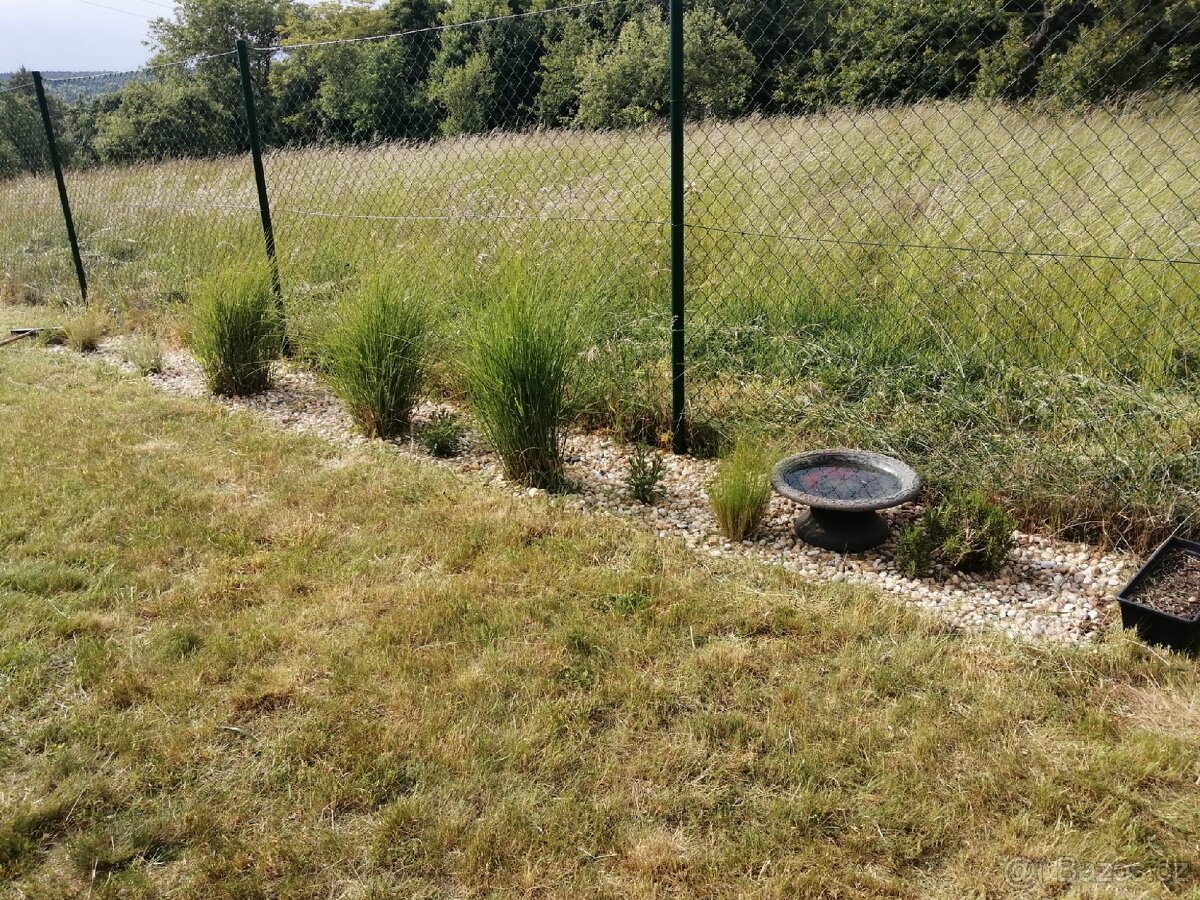 Pronájem zahrady - 11