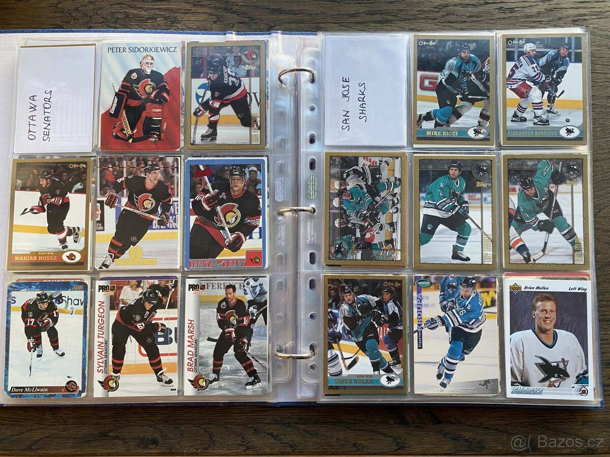Sbírka hokejových kartiček - 11