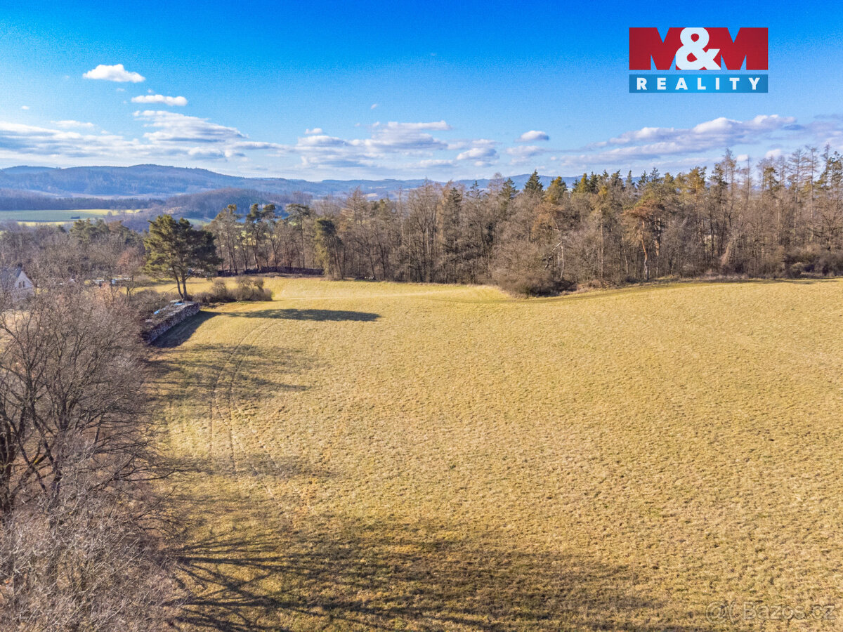 Prodej louky, 11767 m², Benešov - 11