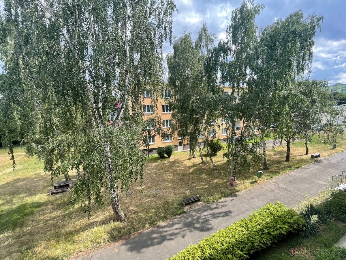 Byt 1+1, ul. Studentská, Jirkov - 11