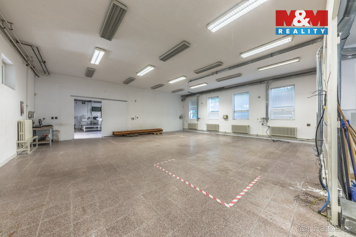 Pronájem výrobního objektu, Kolomuty - 11