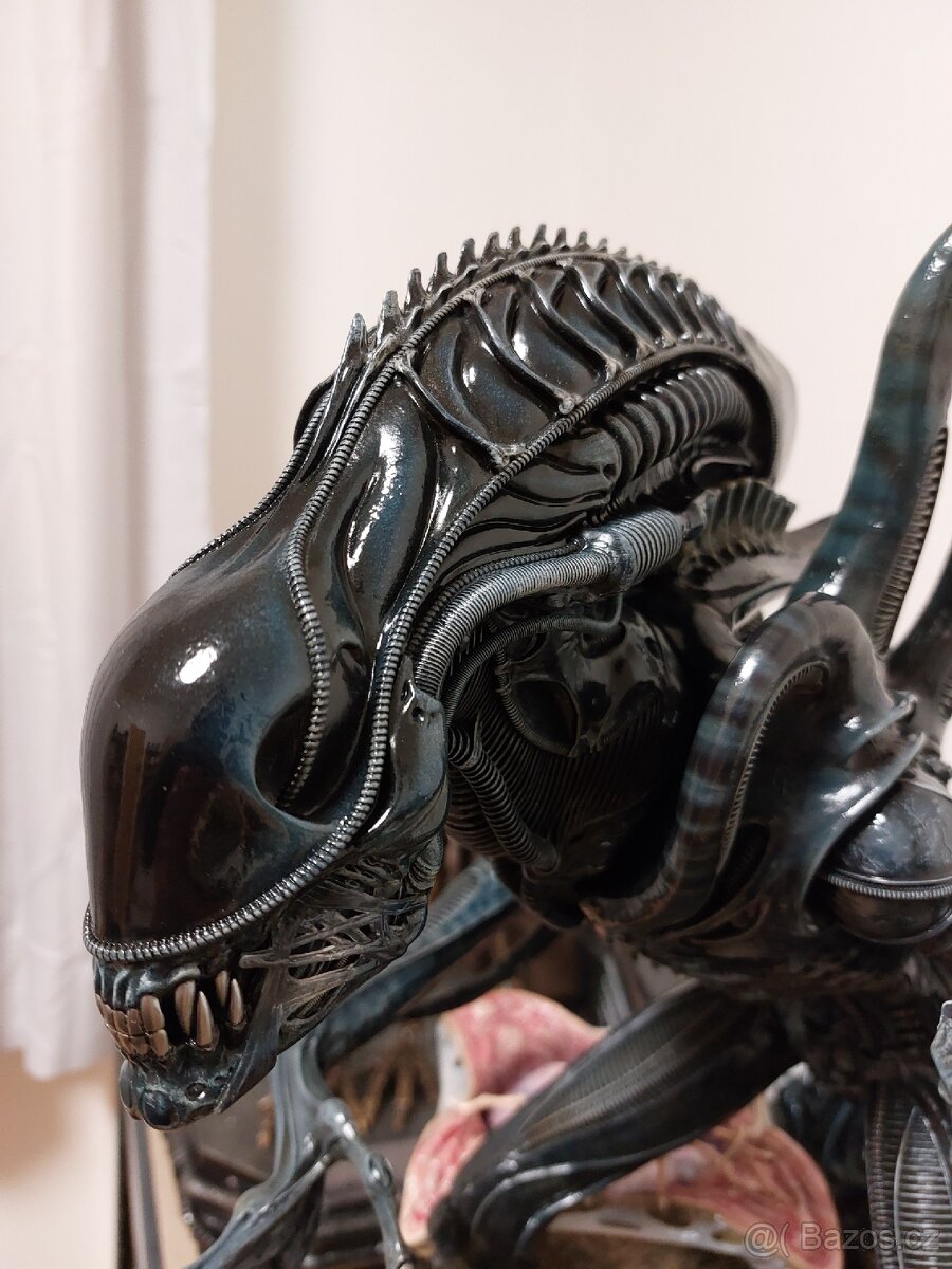 Alien Warrior Prime 1 Studio - 11