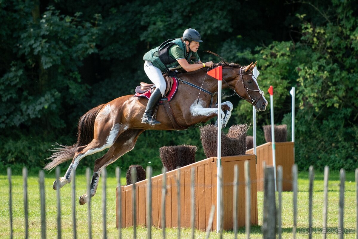 Perfektní klisna pro juniory do mezinárodní všestrannosti - 11
