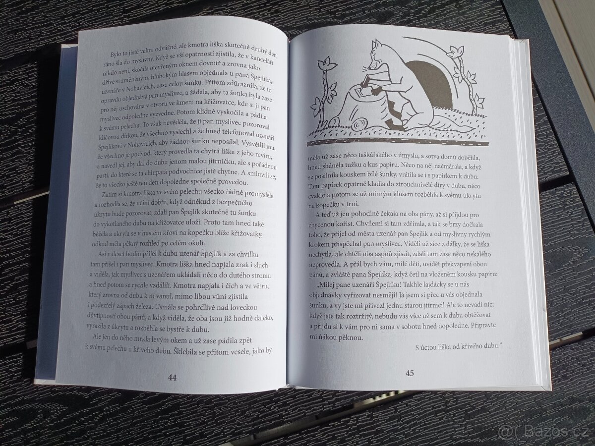 Dětská knížka, kniha - 11