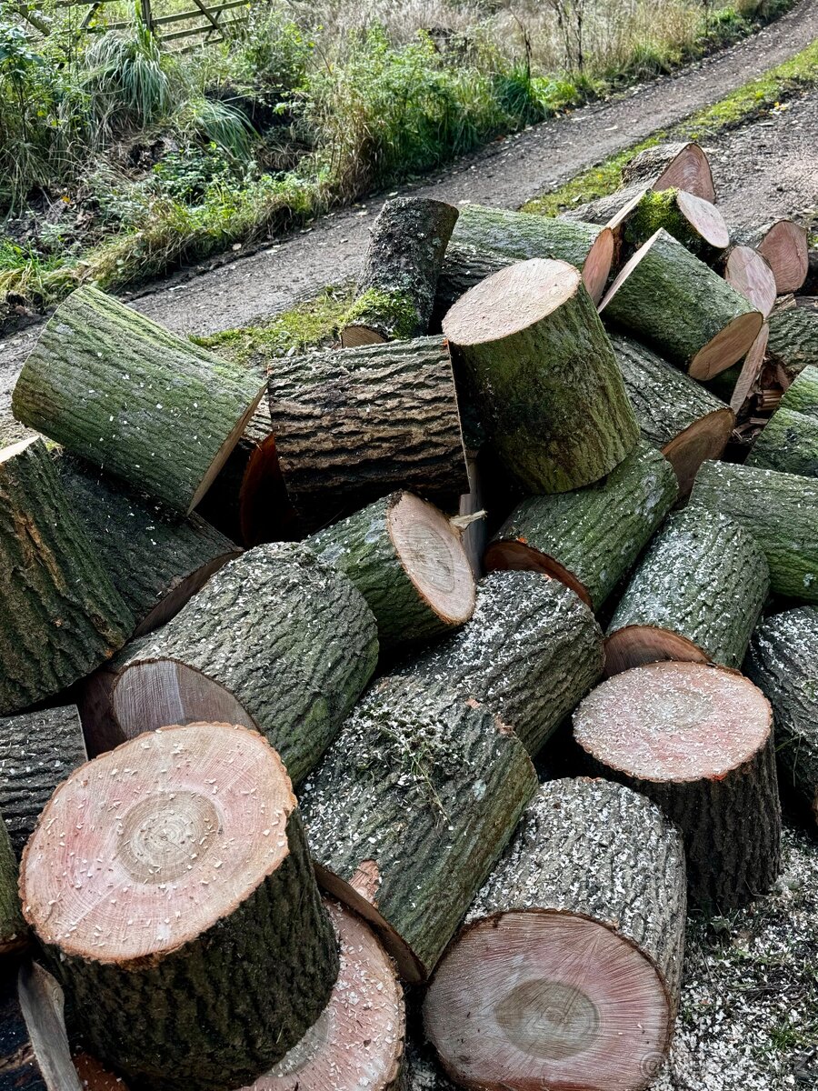 Prodej palivového dřeva - 11