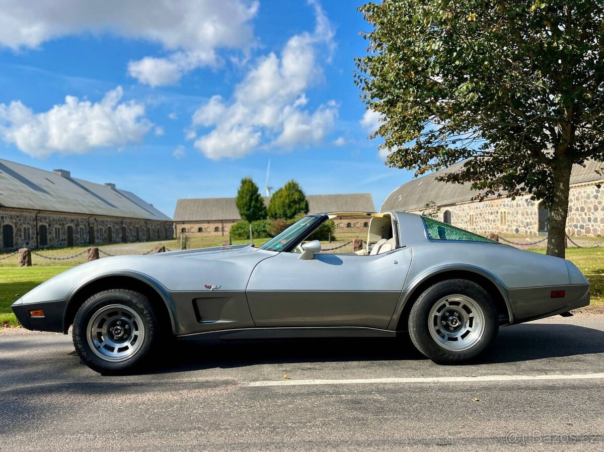 Chevrolet Corvette C3, 5.7 V8, 220 koní - 11