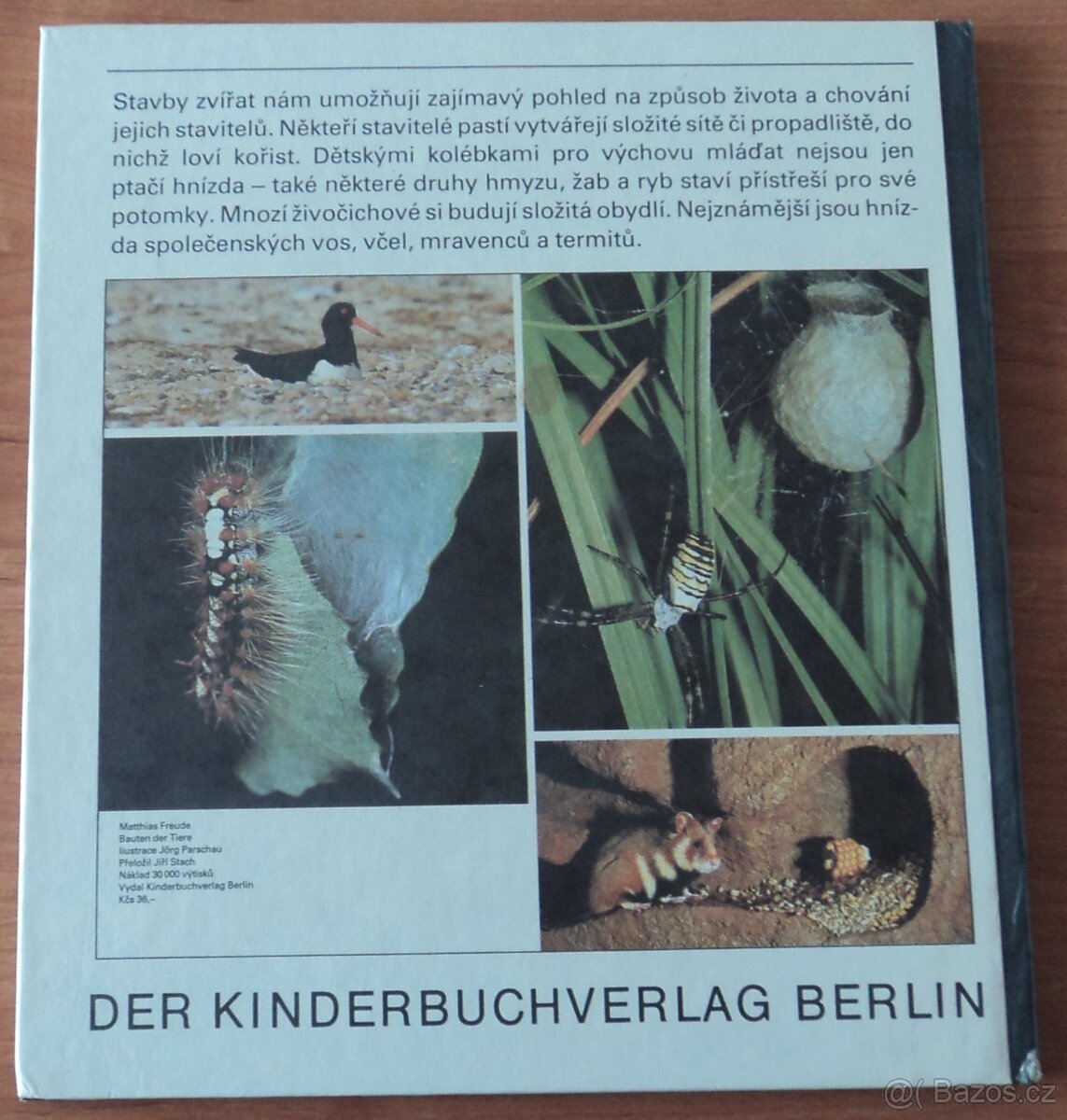 Psi, Stavby zvířat - 11