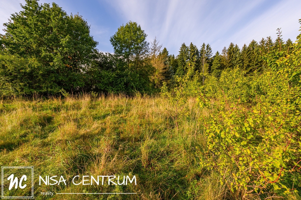 Prodej stavebního pozemku 1533 m² - 11