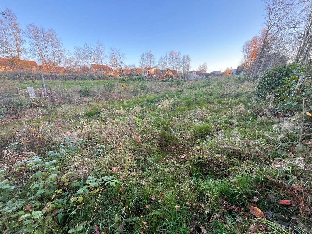 Prodej, pozemek 4200m2 - 11