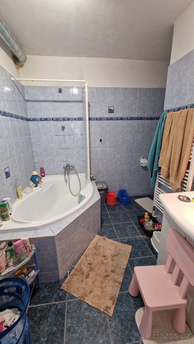 Dům se zahradou 3+1 - 11