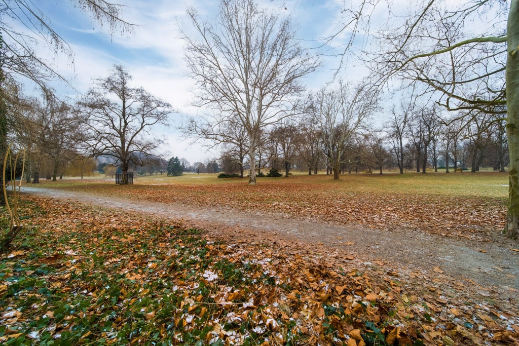 Prodej 1+kk Ostrava, ul. U Parku - 11