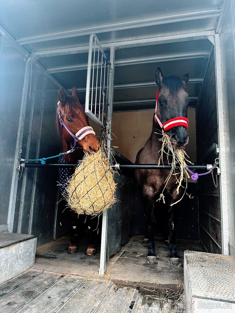 Autopřepravník pro koně, kamera, vzduchový podvozek, nová TK - 11