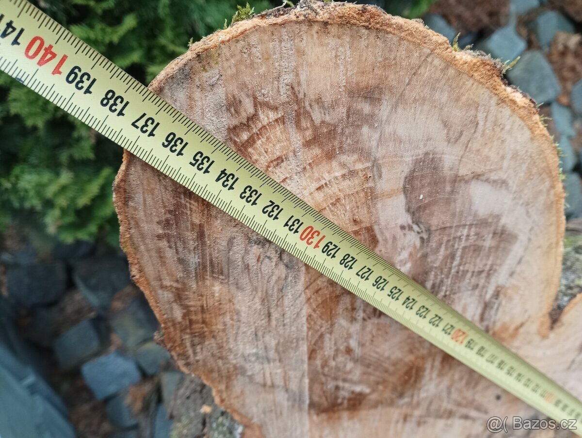 Koláče z tvrdého dřeva, Habr Buk - 11