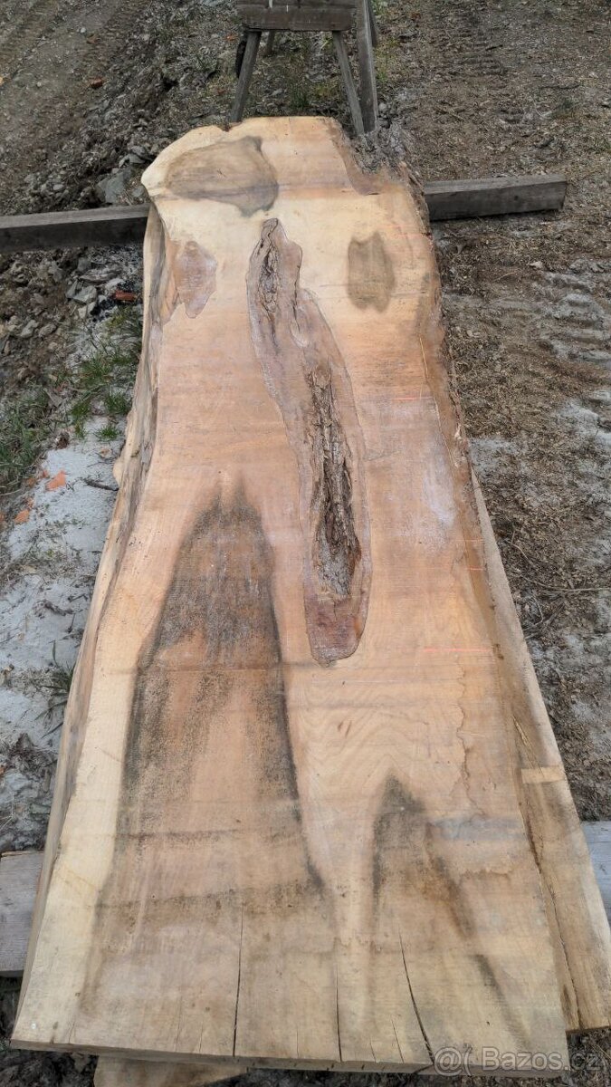 Suché Jilmové fošny - 11