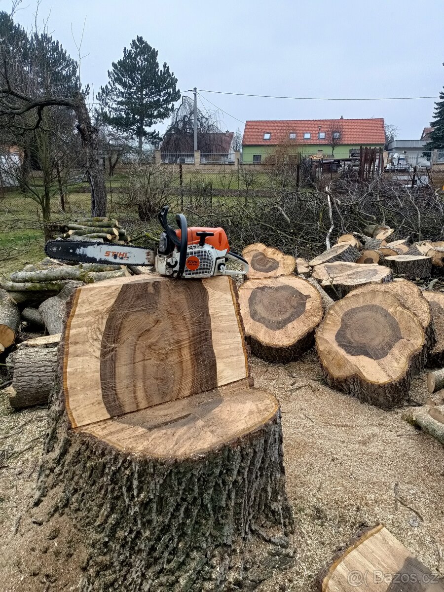 Rizikové kácení stromů - 11