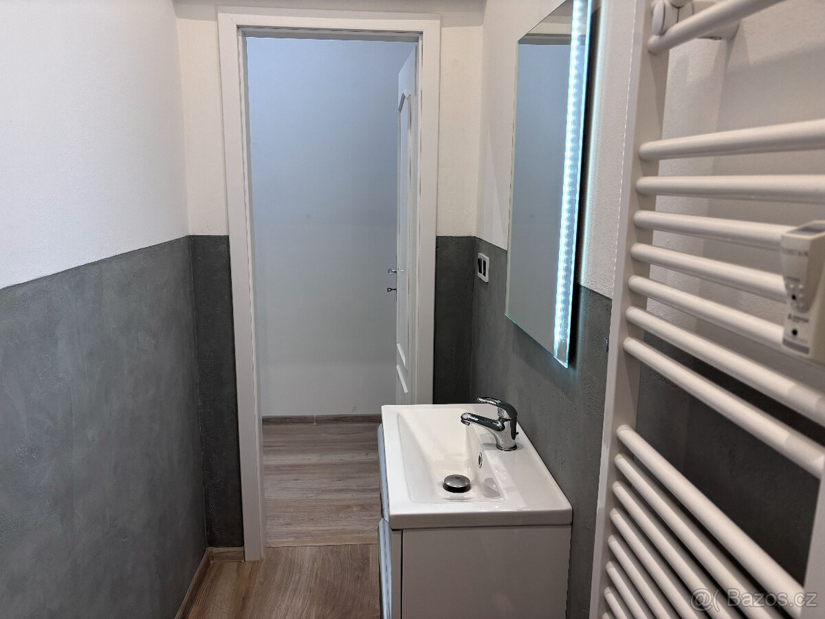 Pronájem světlého 1+kk u městského parku - Nový Bohumín - 11