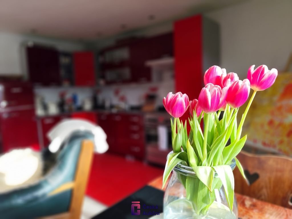 Prodej zemědělské usedlosti s rodinným domem, 2 531 m² - Lká - 11