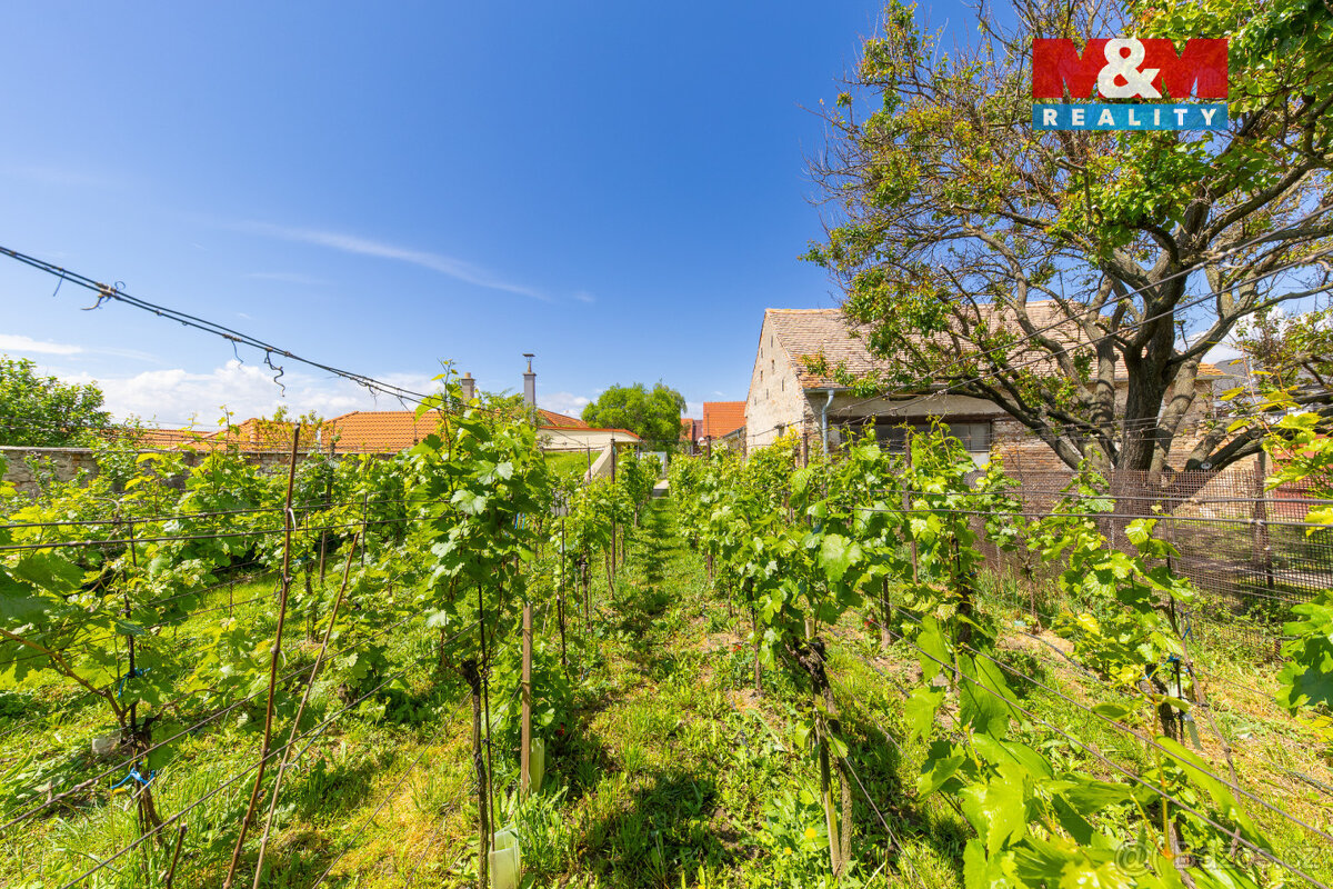 Prodej zemědělské usedlosti 263m² s pozemkem 1250m², Šumice - 11