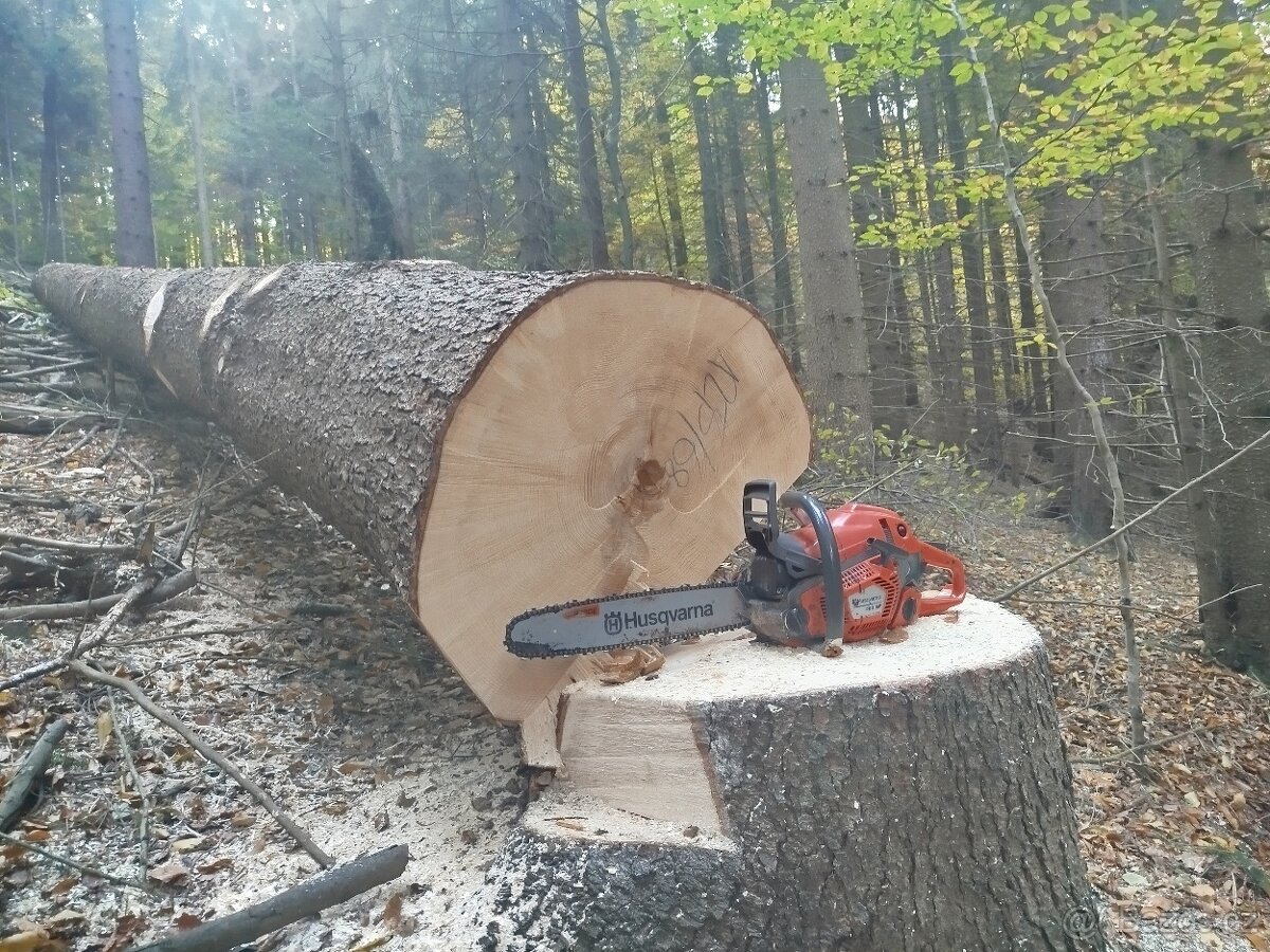 Lesnické práce - 11