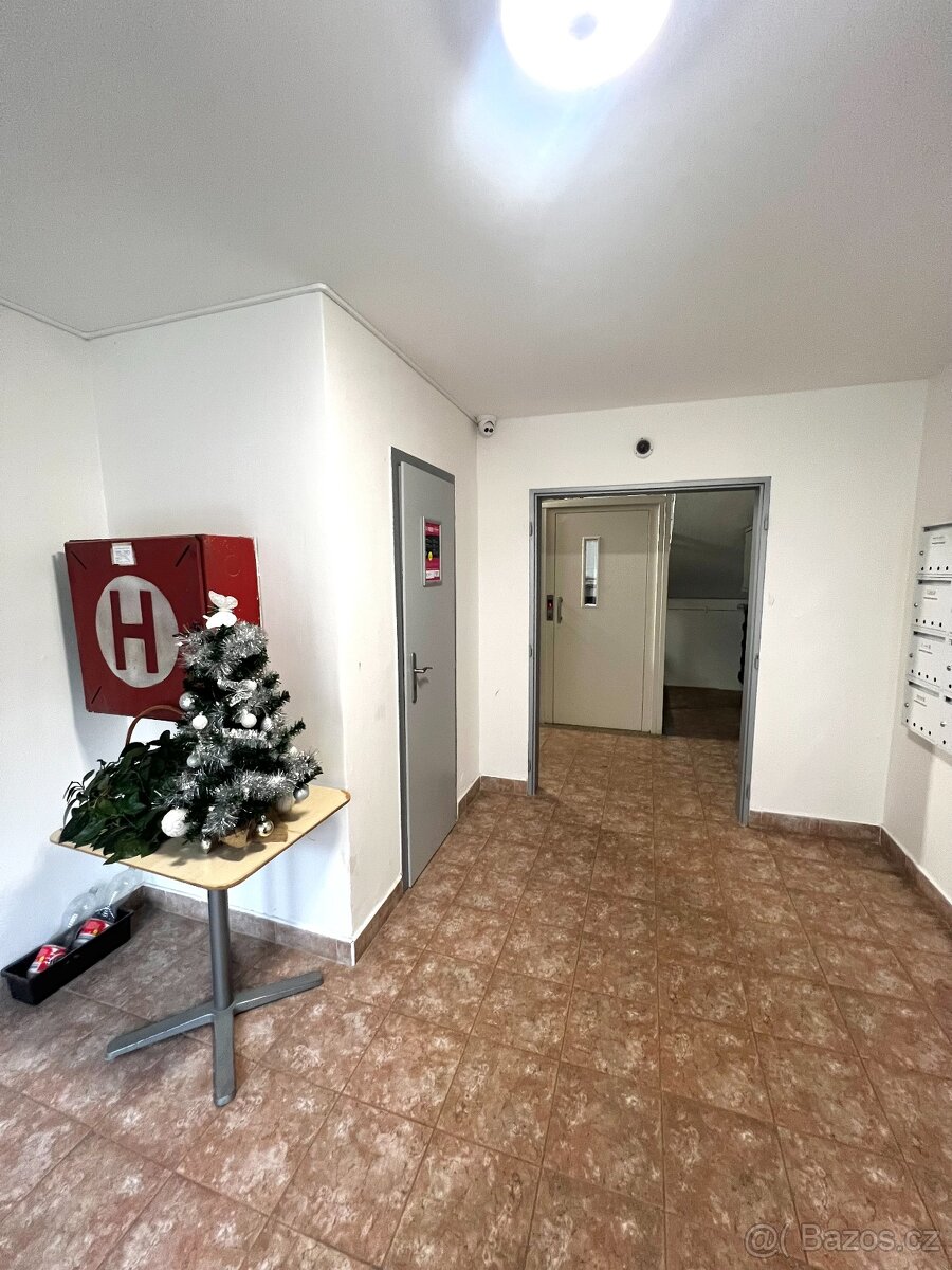 Pronájem bytu 2+1 Brno, Ondrouškova - 11