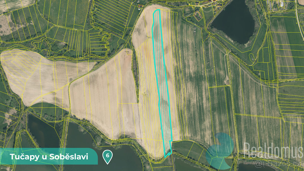 Zemědělská půda 11561 m² – Tučapy u Soběslavi, okres Tábor ( - 11