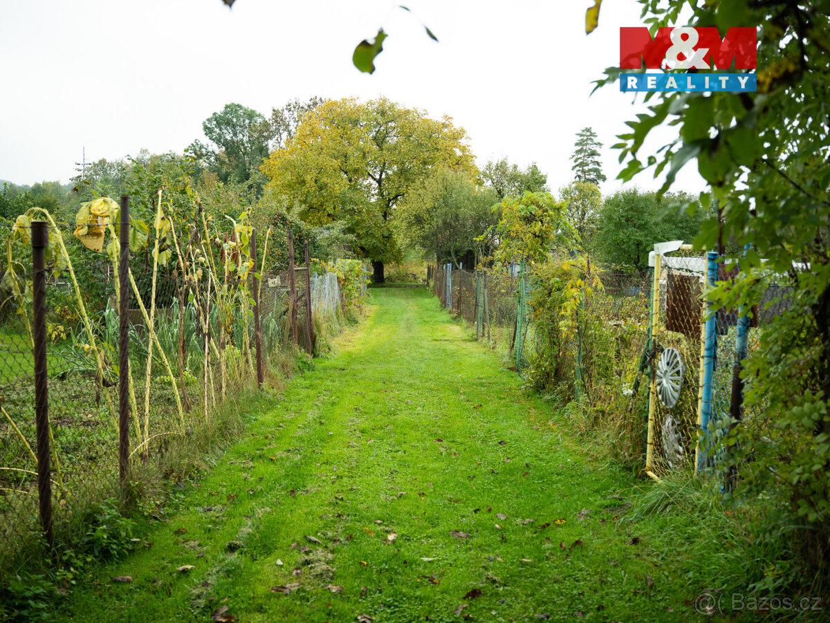 Prodej pozemku k bydlení, 8880 m², Zlaté Hory - 11