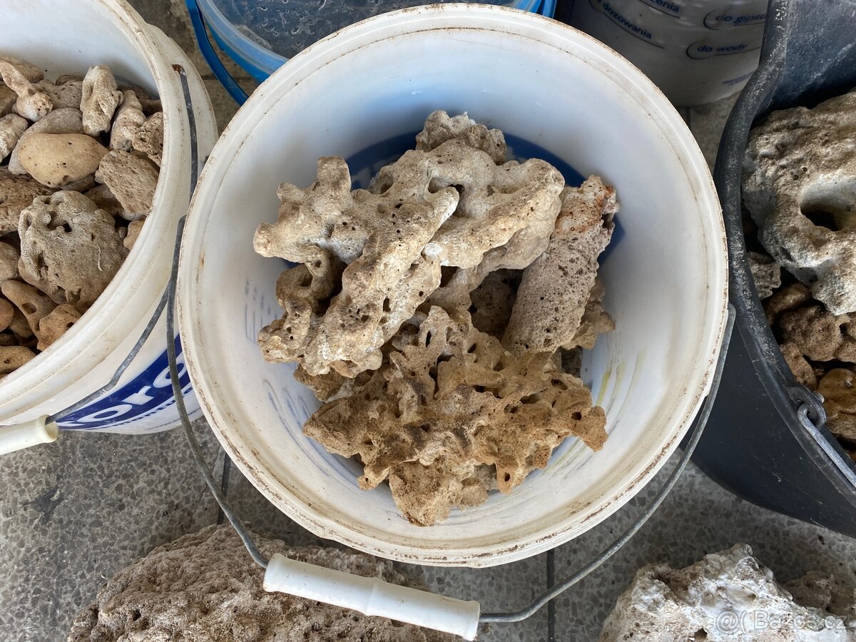 Mořské akvárium - 11