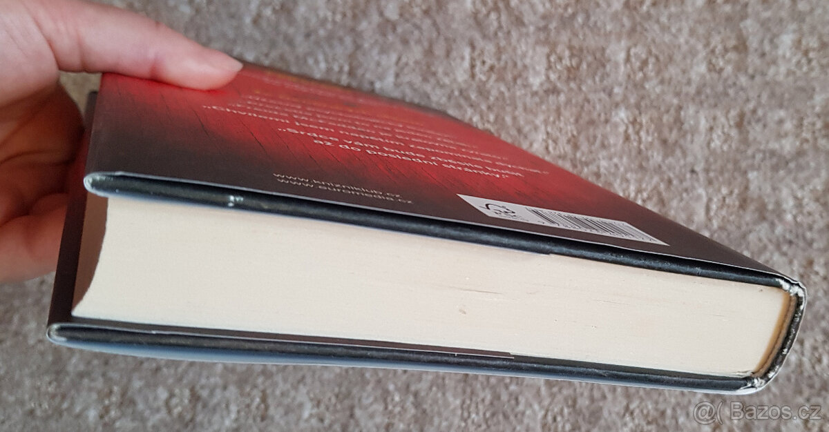 Číslo 20, Tajemství pomocnice, Skryté karty, Ukradené životy - 11