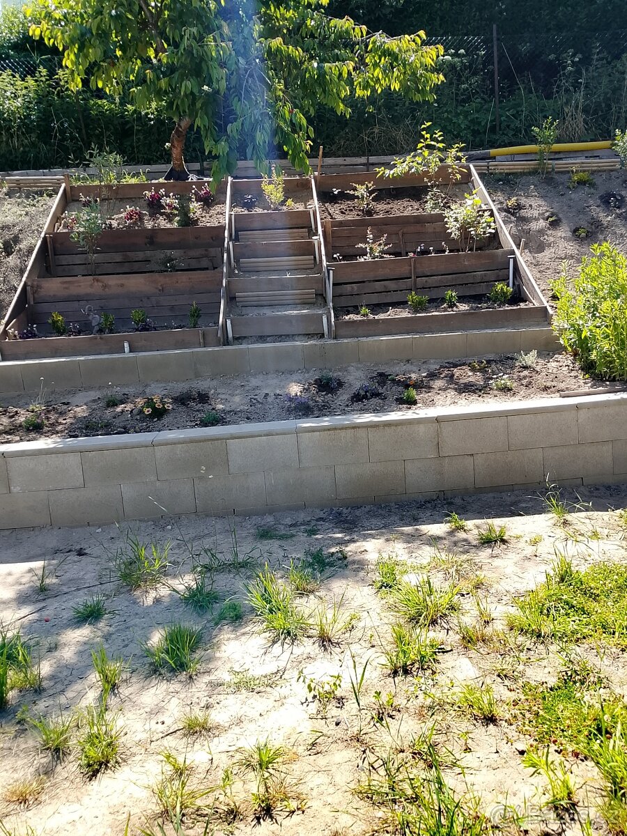 Prodej pozemku s chatkou - 11