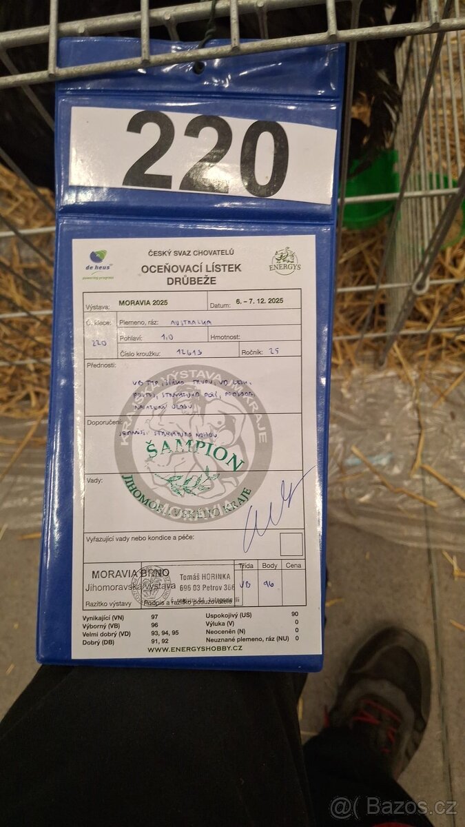 Násadová vajíčka Australka velká černá a modrá a Hedvábnička - 11