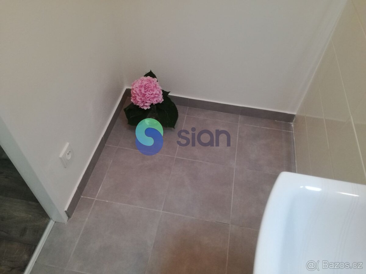 Podnájem bytu 1+1 36 m2, ul. Dr. Martínka 1157/53, Ostrava - - 11