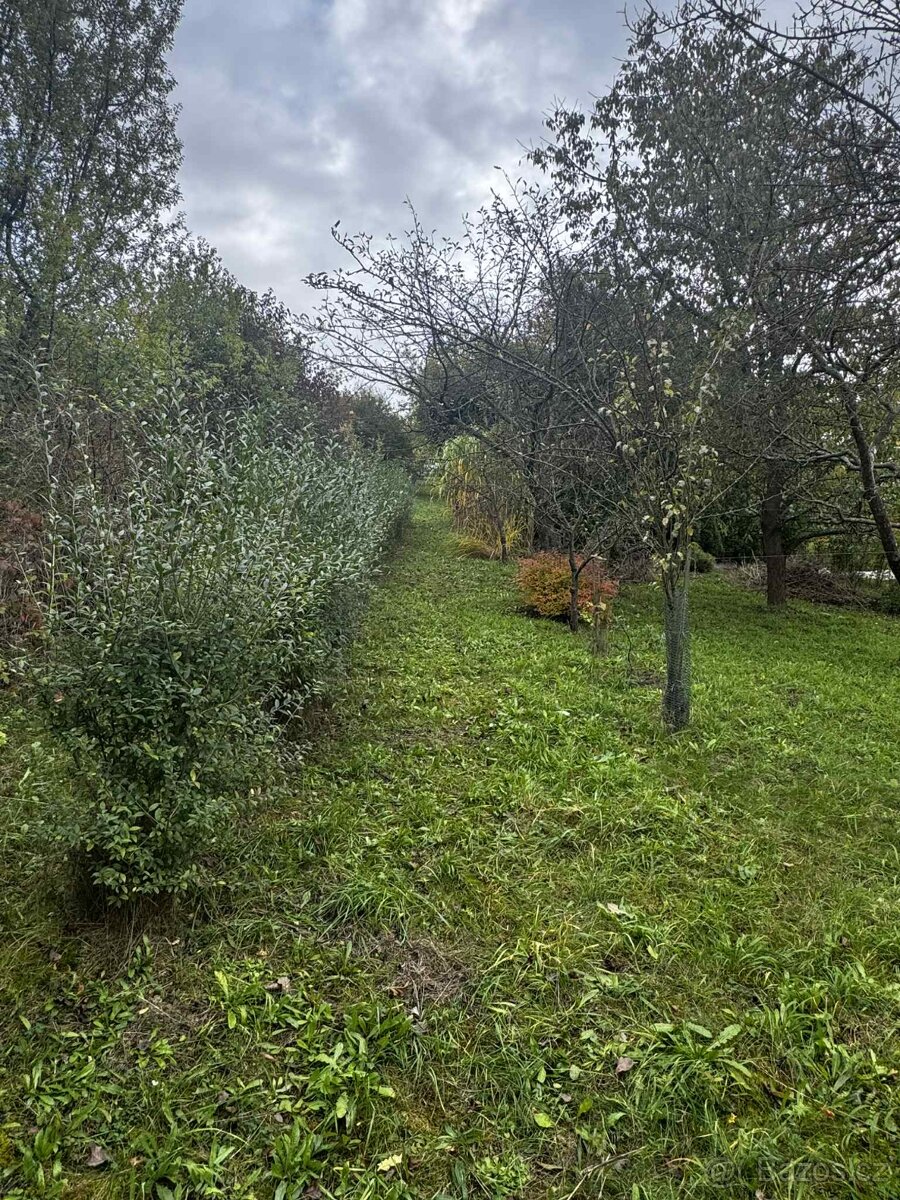 🌿 Prodej zahrady-sadu 1 872 m² – Soběchleby, okres Přerov - 11