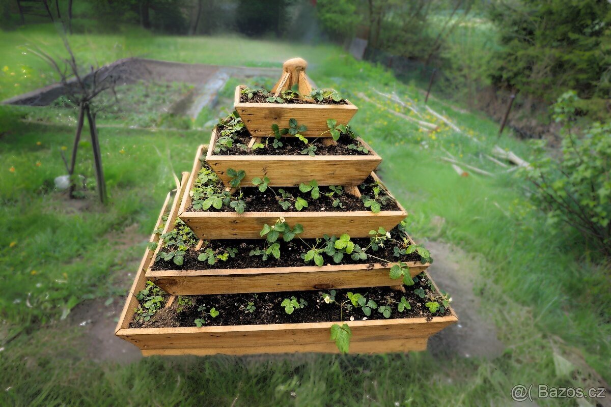 Jahodník, záhon na jahody - 11