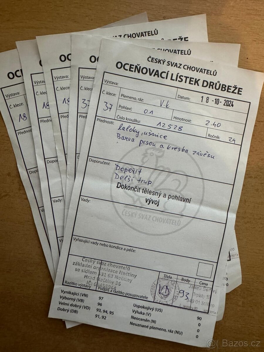 Vlaška koroptví - násadová vejce - 11