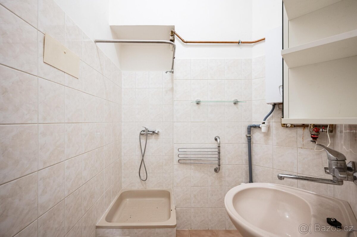 Příjemný byt 1+1 s výhledem do zeleného vnitrobloku | Bubene - 11