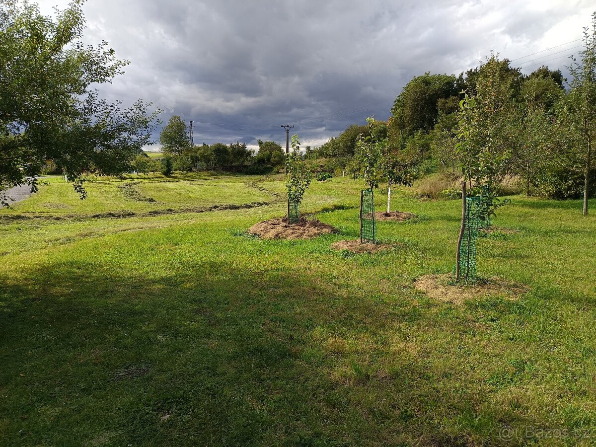 Dum a pozemky v Pribyslavi - 11