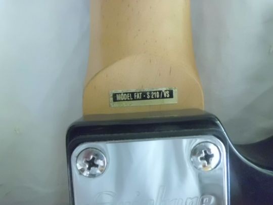 Pěkná starší Elektrická Kytara EPIPHONE - Model S 210 / VS - 11