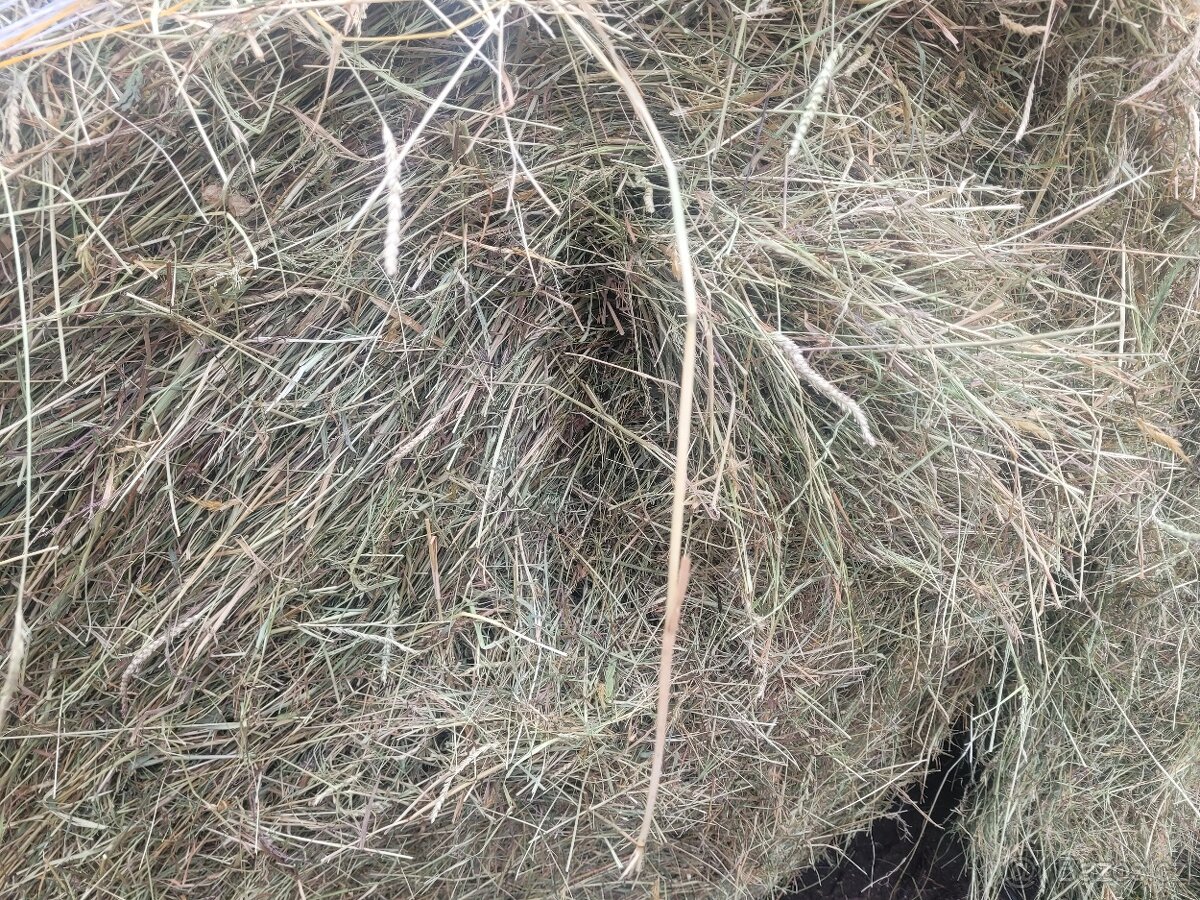 Seno kulaté balíky ze Šumavy - 11