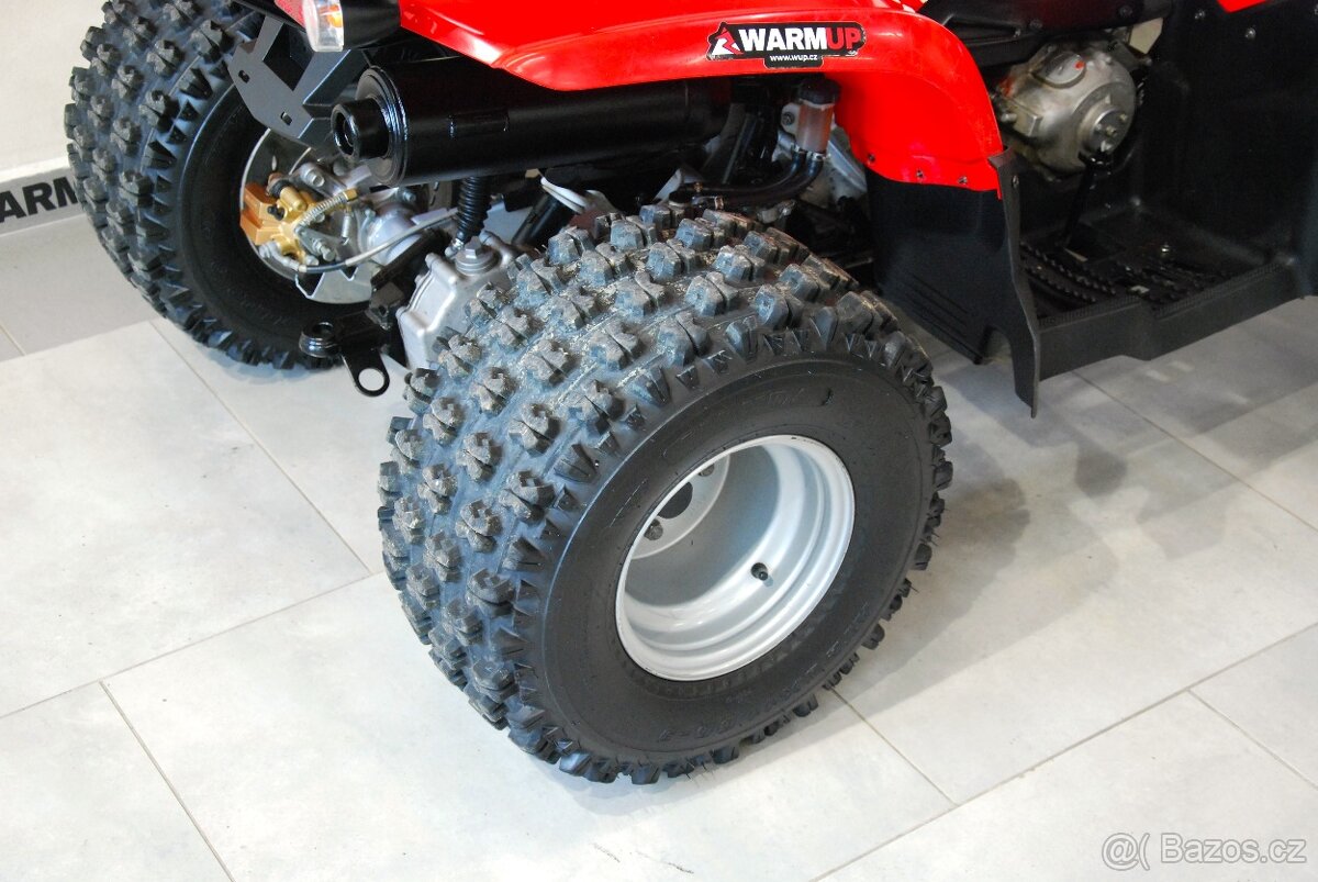 Polaris Phoenix 200 - 11