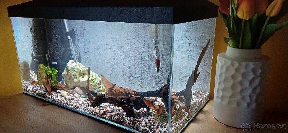 Zařízené akvárium - 11
