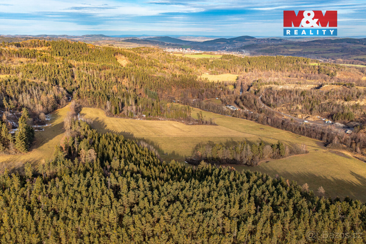 Prodej lesa, 13448 m², Malenice - 11