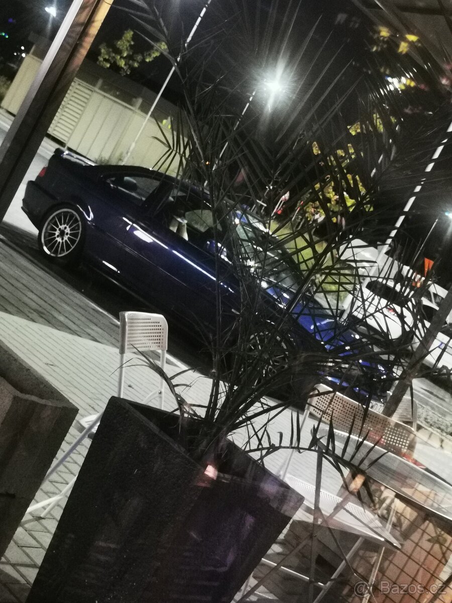 Bmw e46 coupe 2.0 R6 LPG - 11