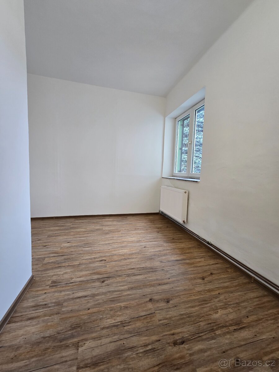 2+kk se zahradou - 11