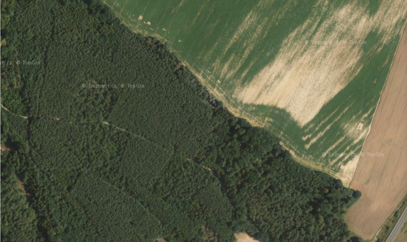 Prodej pozemku v Dubé, Českolipsko. - 11