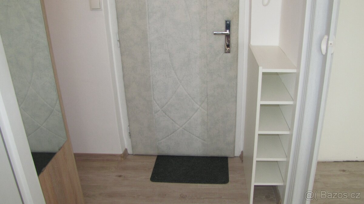 Pronájem bytu 1+1 v Kopřivnici - 11